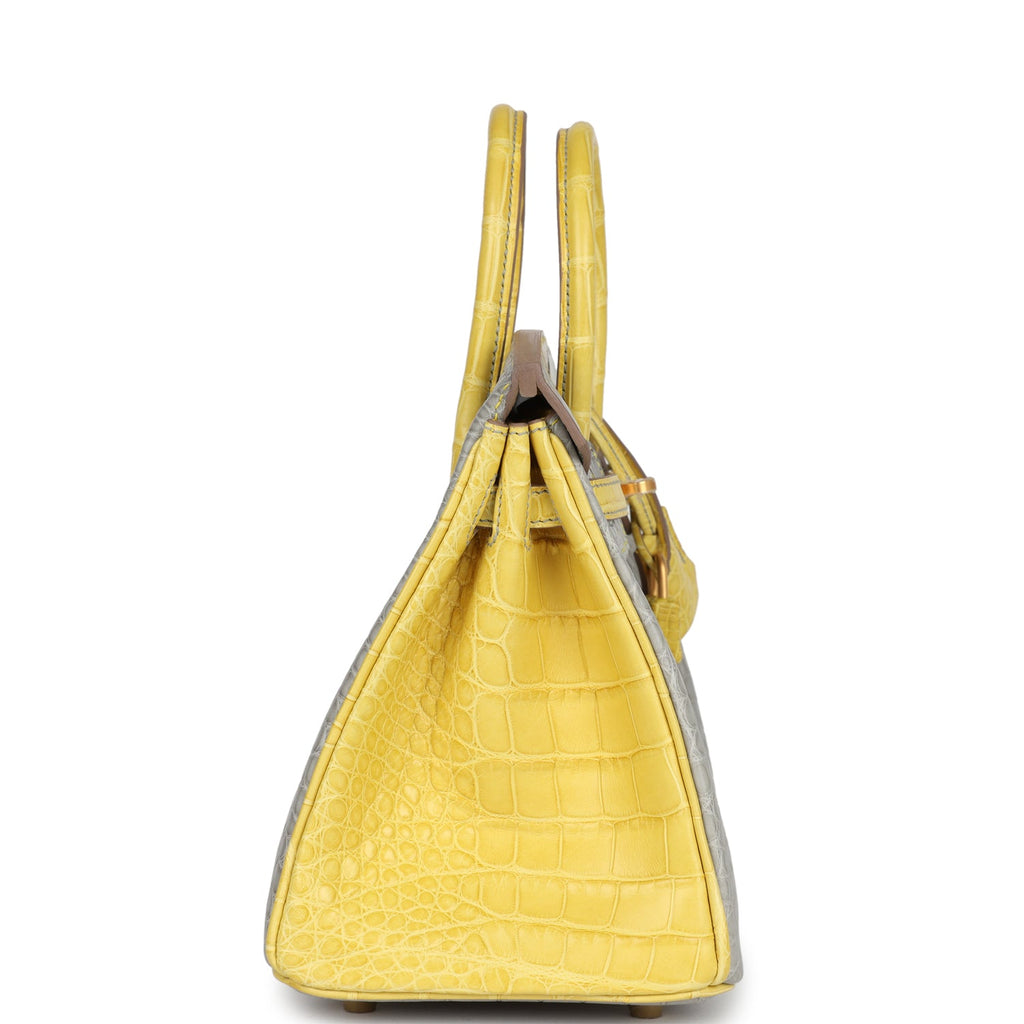 hermes-birkin-25-gris-perle-mimosa-matte-alligator-brushed-gold-hardware-bag