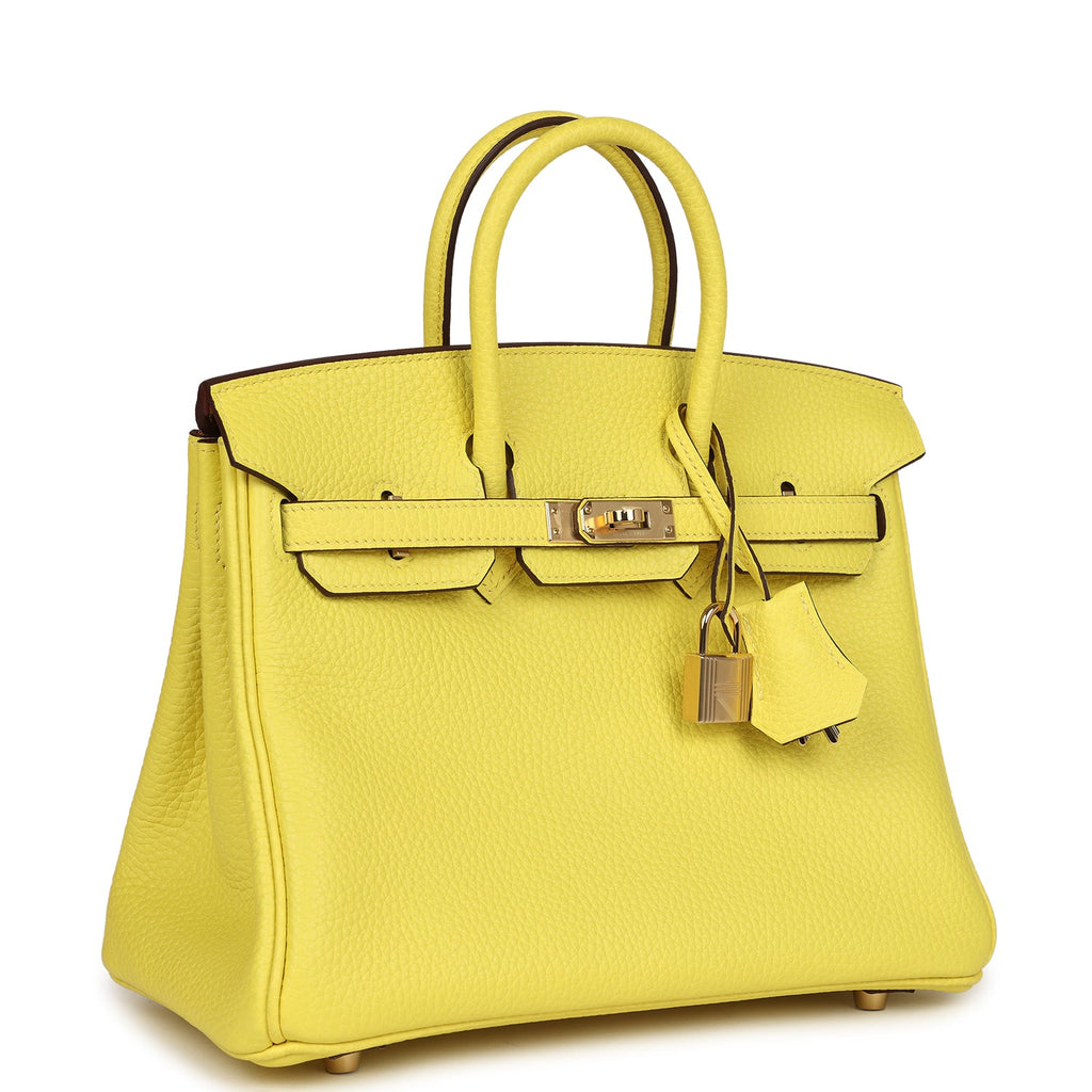 hermes-birkin-25-lime-verso-clemence-permabrass-hardware-bag