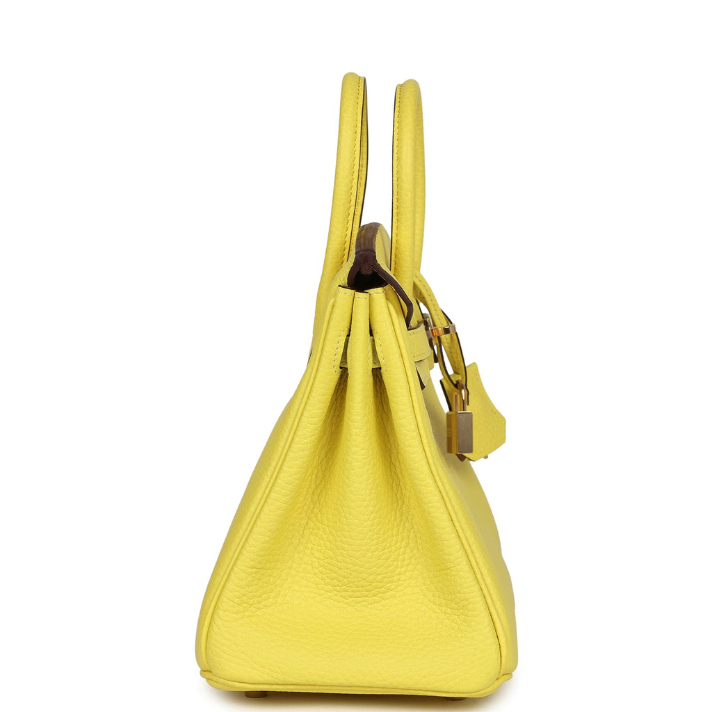 hermes-birkin-25-lime-verso-clemence-permabrass-hardware-bag