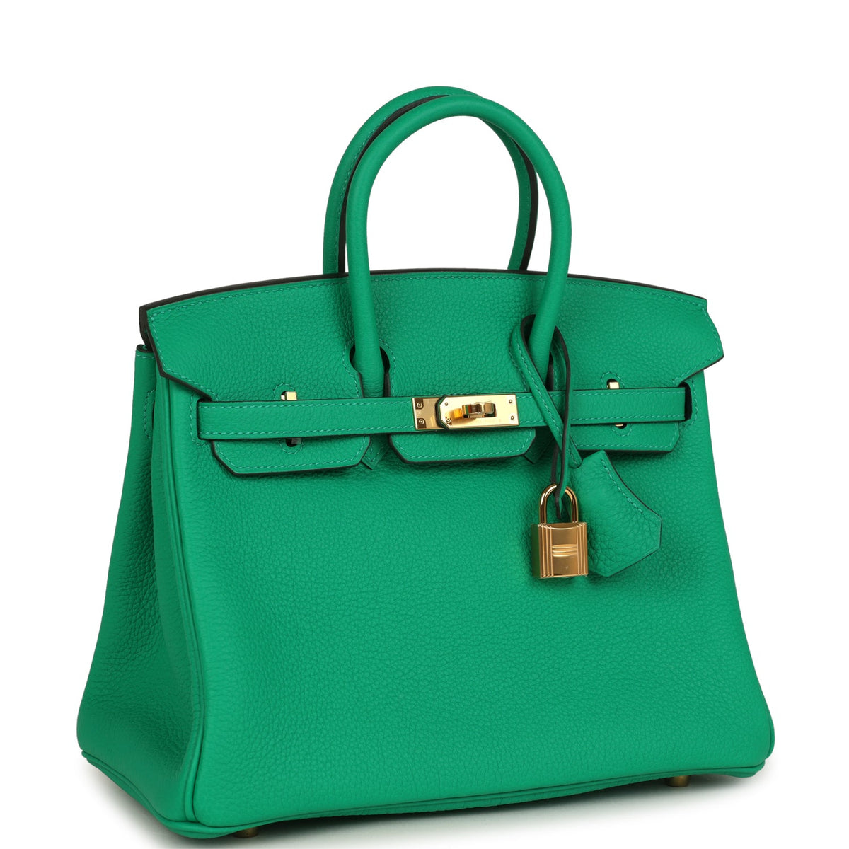 hermes-birkin-25-menthe-togo-gold-hardware-bag