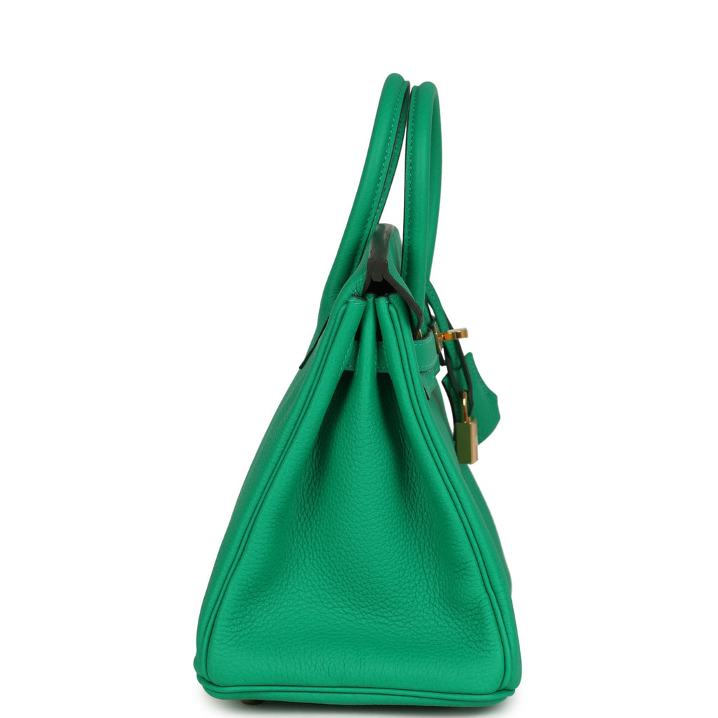 hermes-birkin-25-menthe-togo-gold-hardware-bag