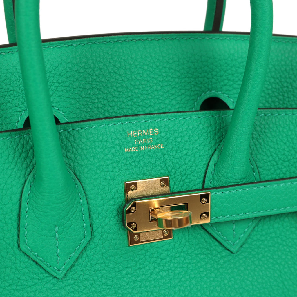 hermes-birkin-25-menthe-togo-gold-hardware-bag