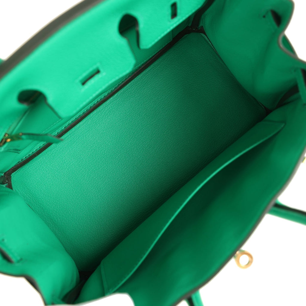 hermes-birkin-25-menthe-togo-gold-hardware-bag