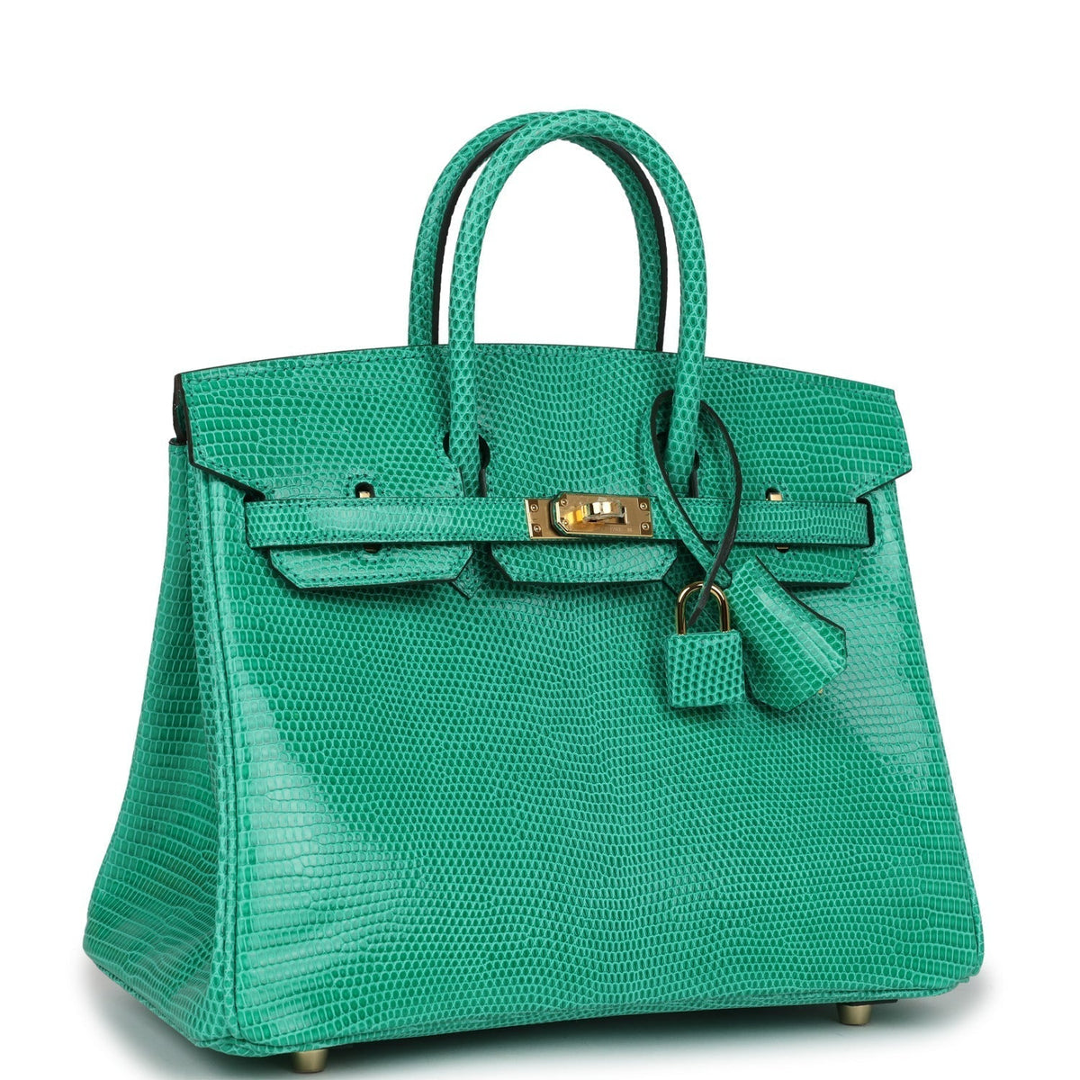 hermes-birkin-25-menthe-varanus-niloticus-lizard-gold-hardware-bag