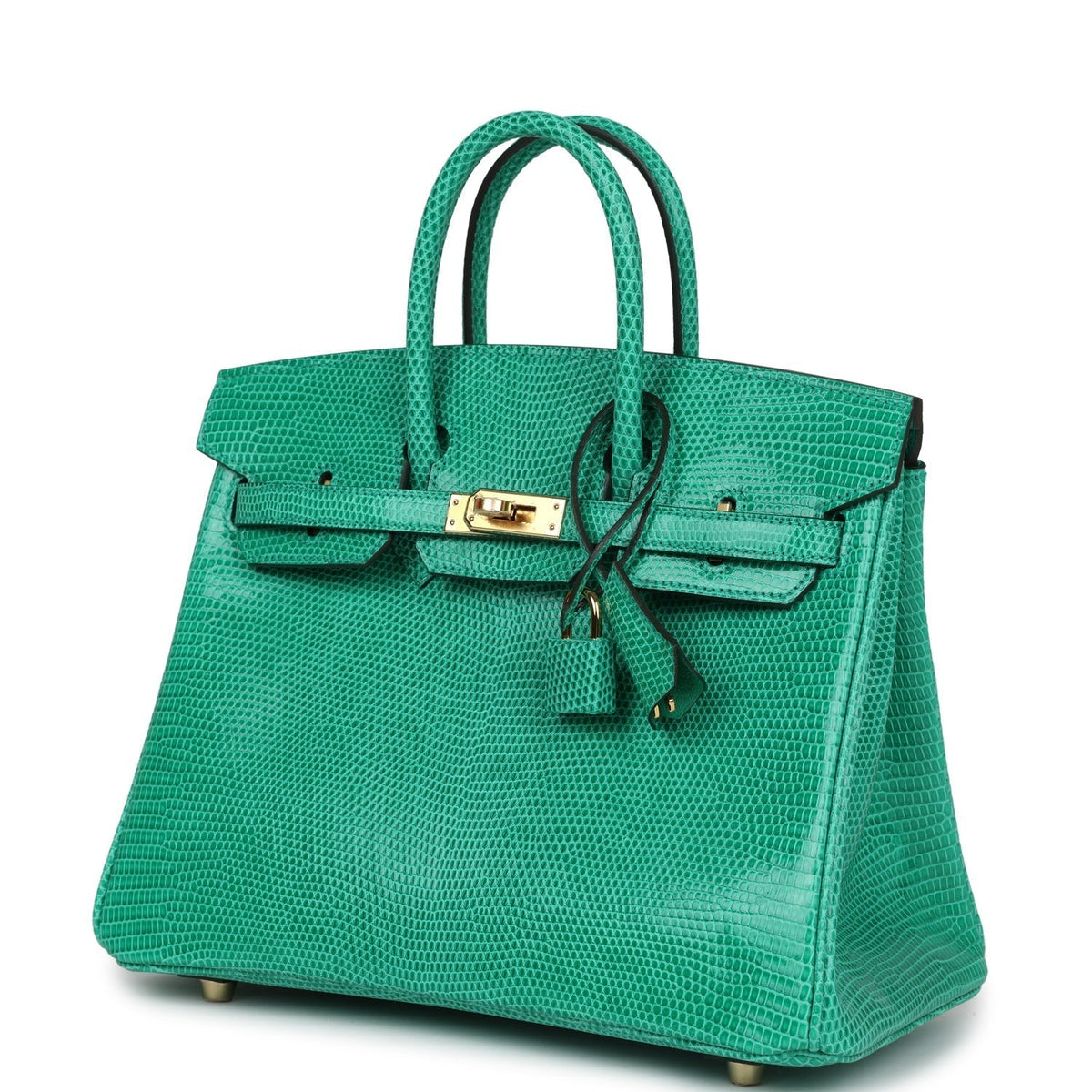 hermes-birkin-25-menthe-varanus-niloticus-lizard-gold-hardware-bag