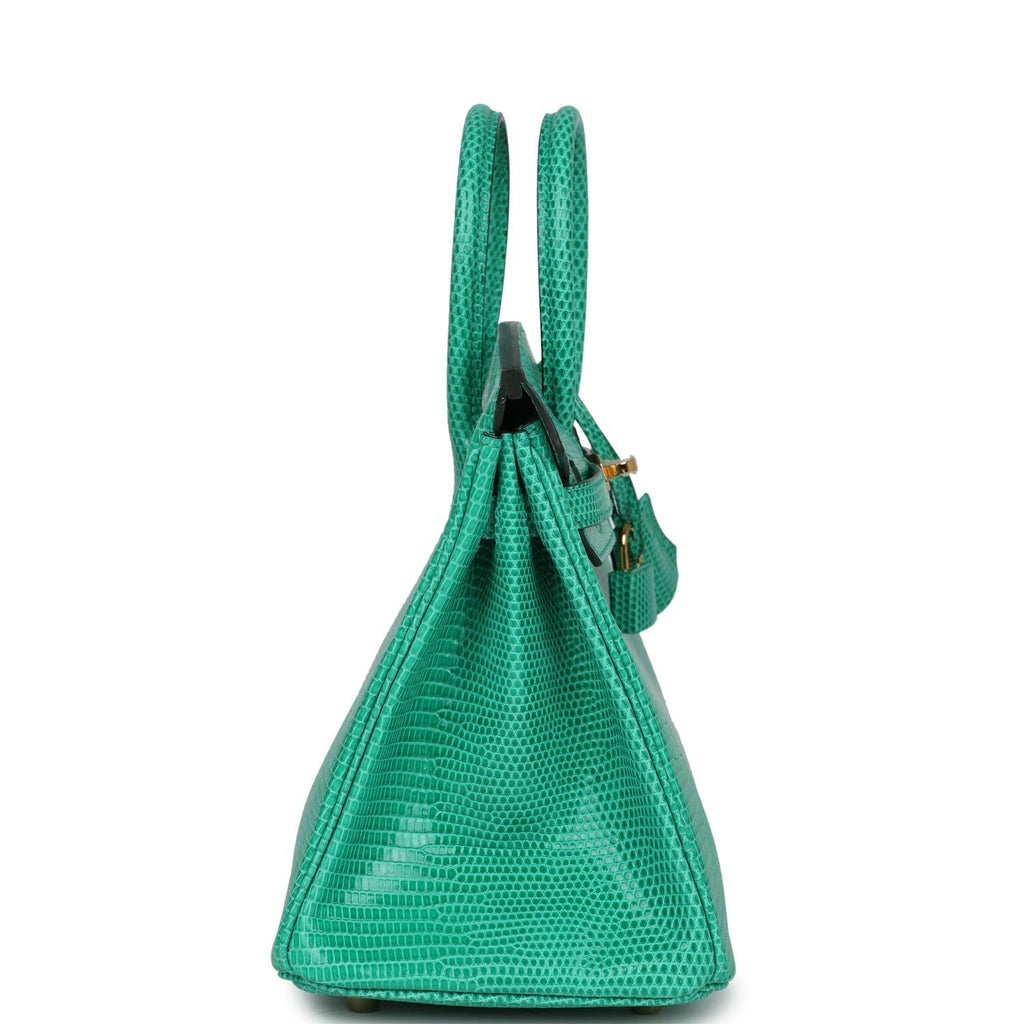 hermes-birkin-25-menthe-varanus-niloticus-lizard-gold-hardware-bag
