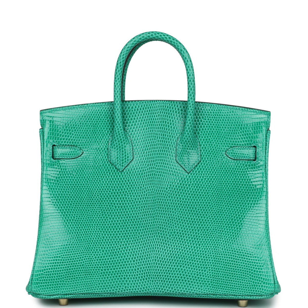 hermes-birkin-25-menthe-varanus-niloticus-lizard-gold-hardware-bag