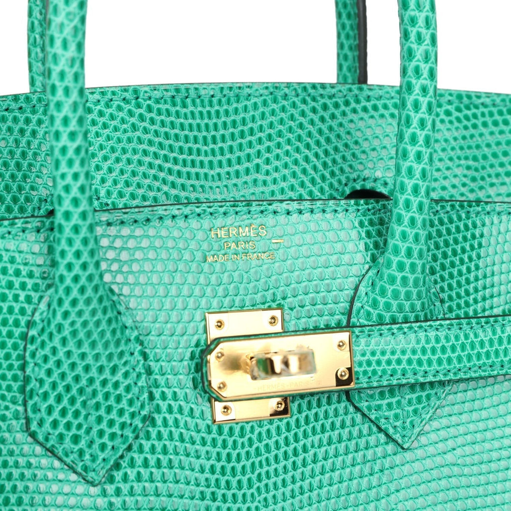 hermes-birkin-25-menthe-varanus-niloticus-lizard-gold-hardware-bag