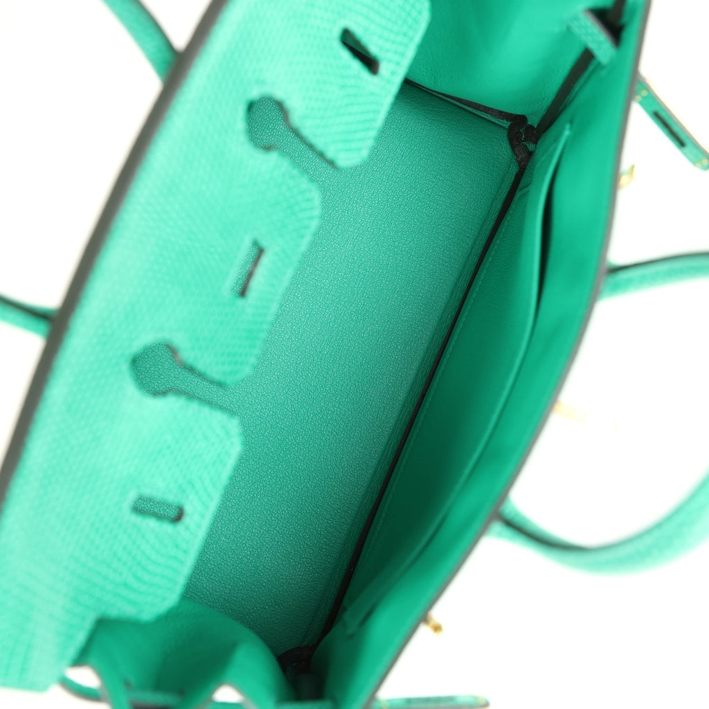 hermes-birkin-25-menthe-varanus-niloticus-lizard-gold-hardware-bag