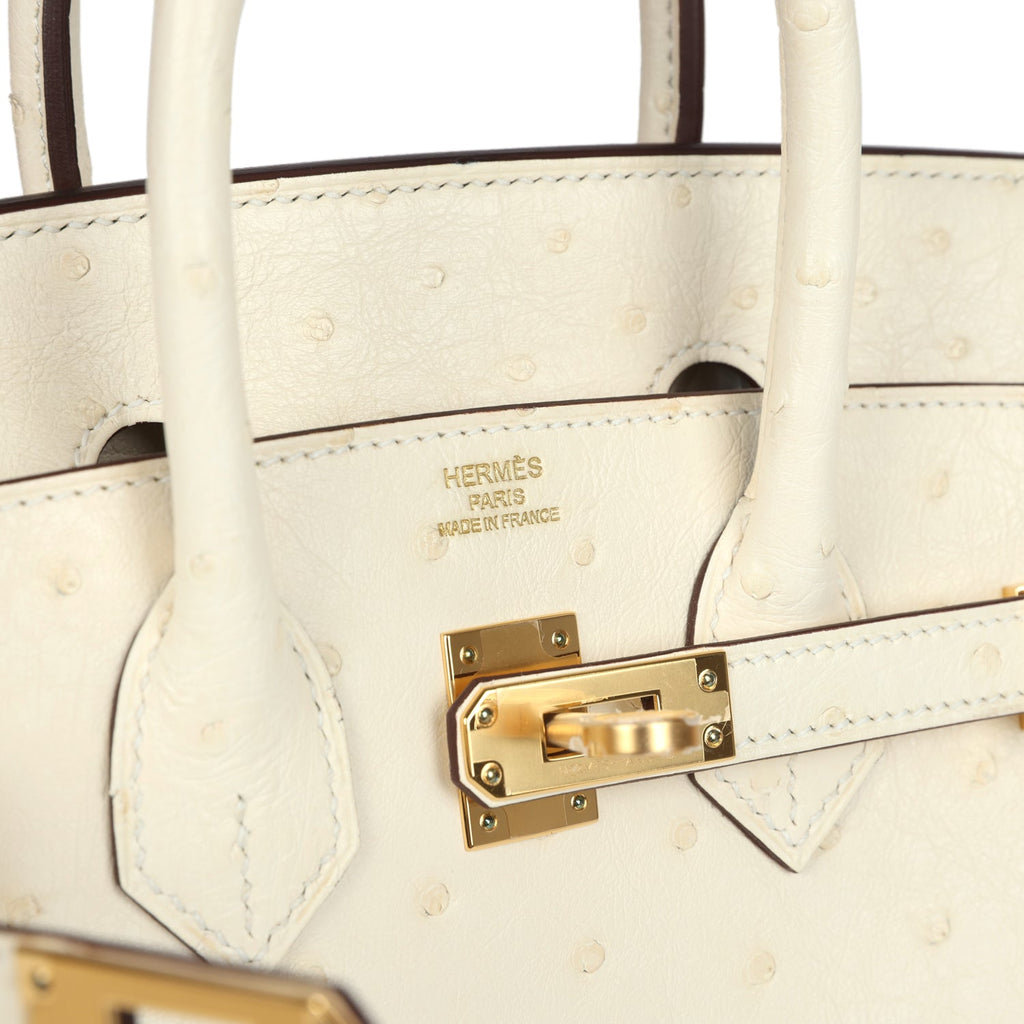 hermes-birkin-25-nata-ostrich-gold-hardware-bag