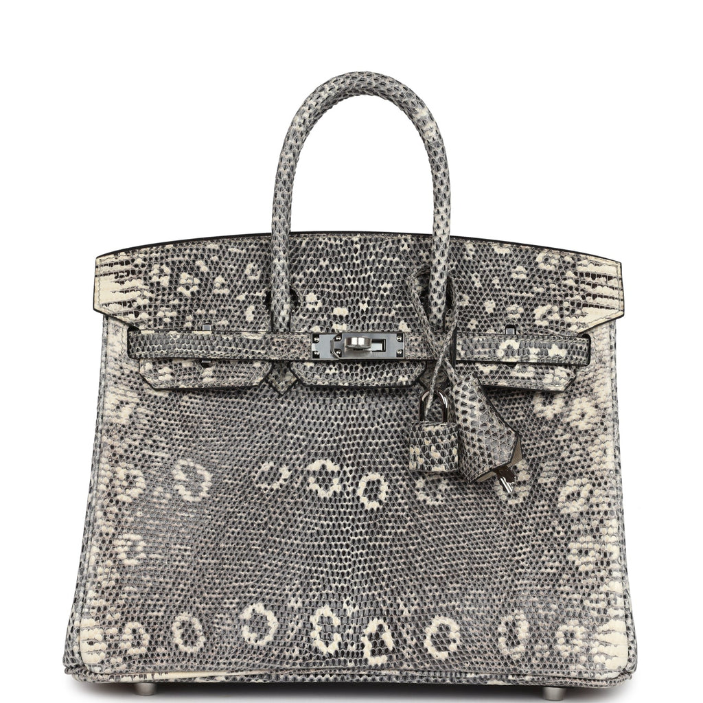 hermes-birkin-25-ombre-varanus-salvator-lizard-palladium-hardware-bag