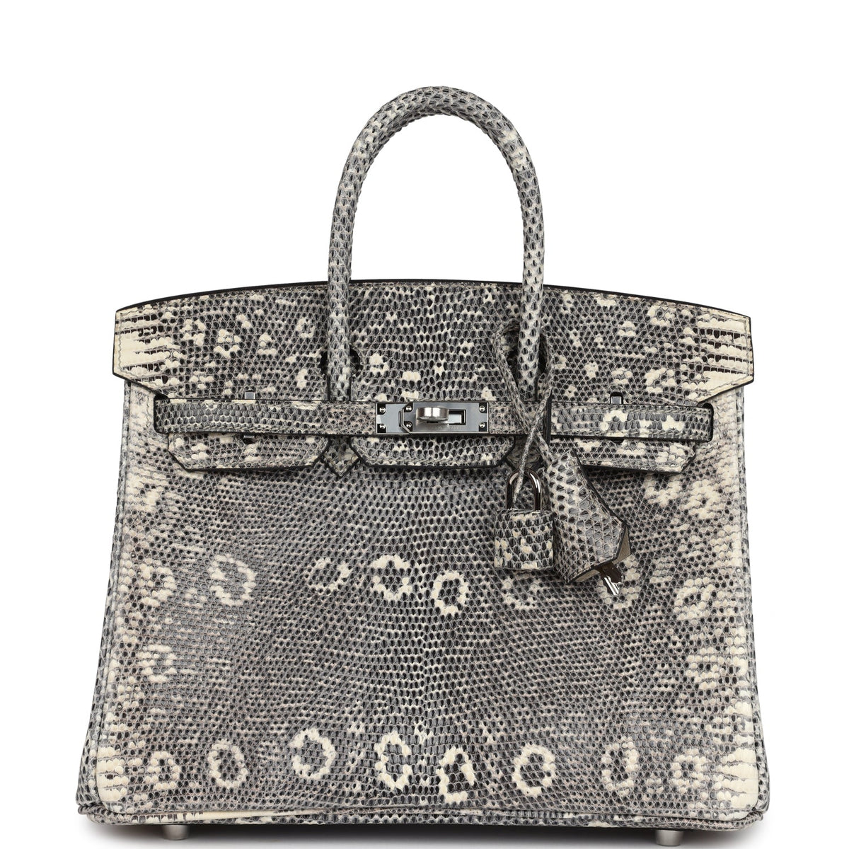 hermes-birkin-25-ombre-varanus-salvator-lizard-palladium-hardware-bag