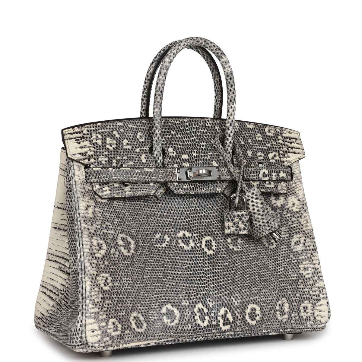 hermes-birkin-25-ombre-varanus-salvator-lizard-palladium-hardware-bag