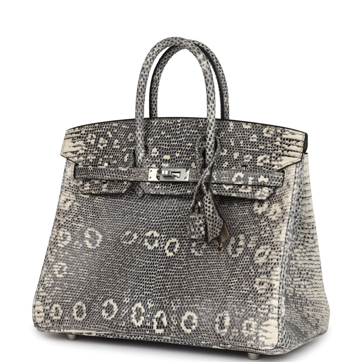 hermes-birkin-25-ombre-varanus-salvator-lizard-palladium-hardware-bag