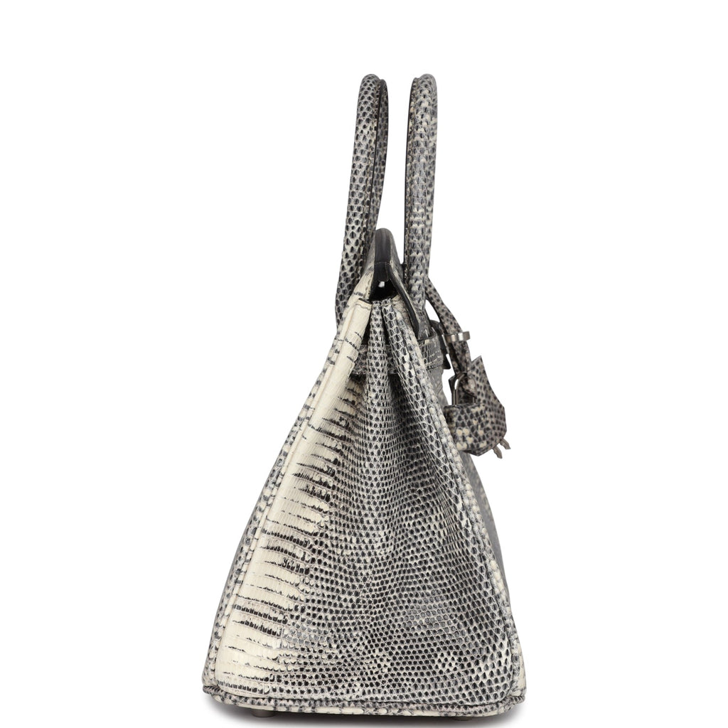 hermes-birkin-25-ombre-varanus-salvator-lizard-palladium-hardware-bag