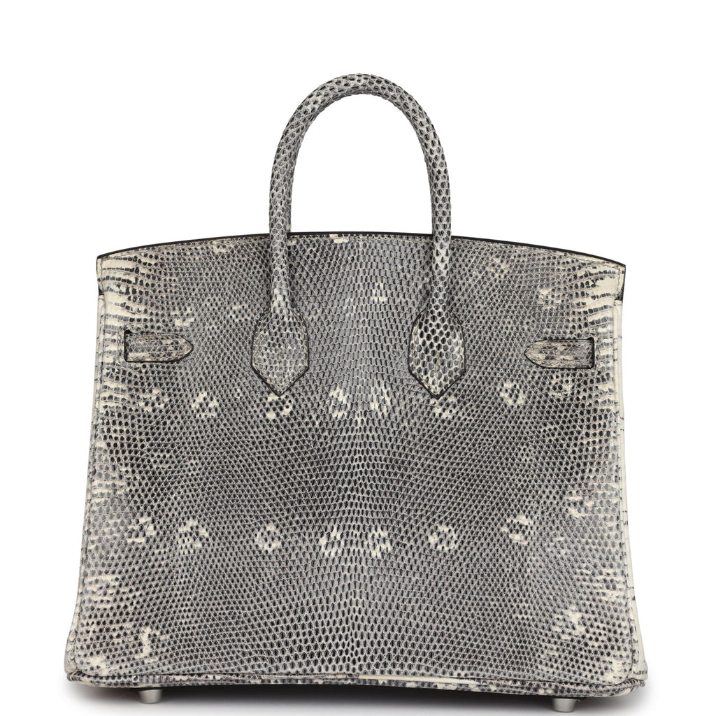 hermes-birkin-25-ombre-varanus-salvator-lizard-palladium-hardware-bag