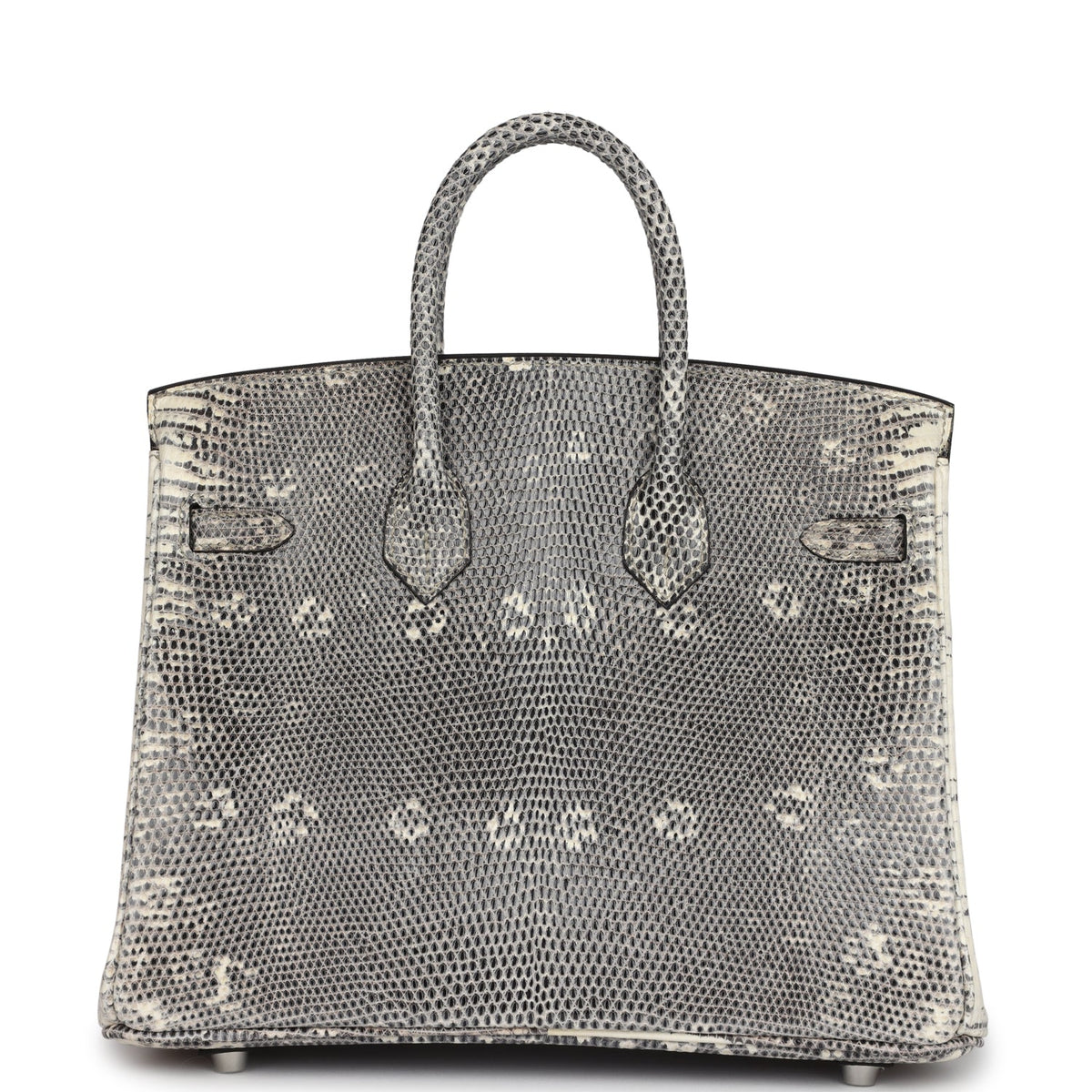 hermes-birkin-25-ombre-varanus-salvator-lizard-palladium-hardware-bag