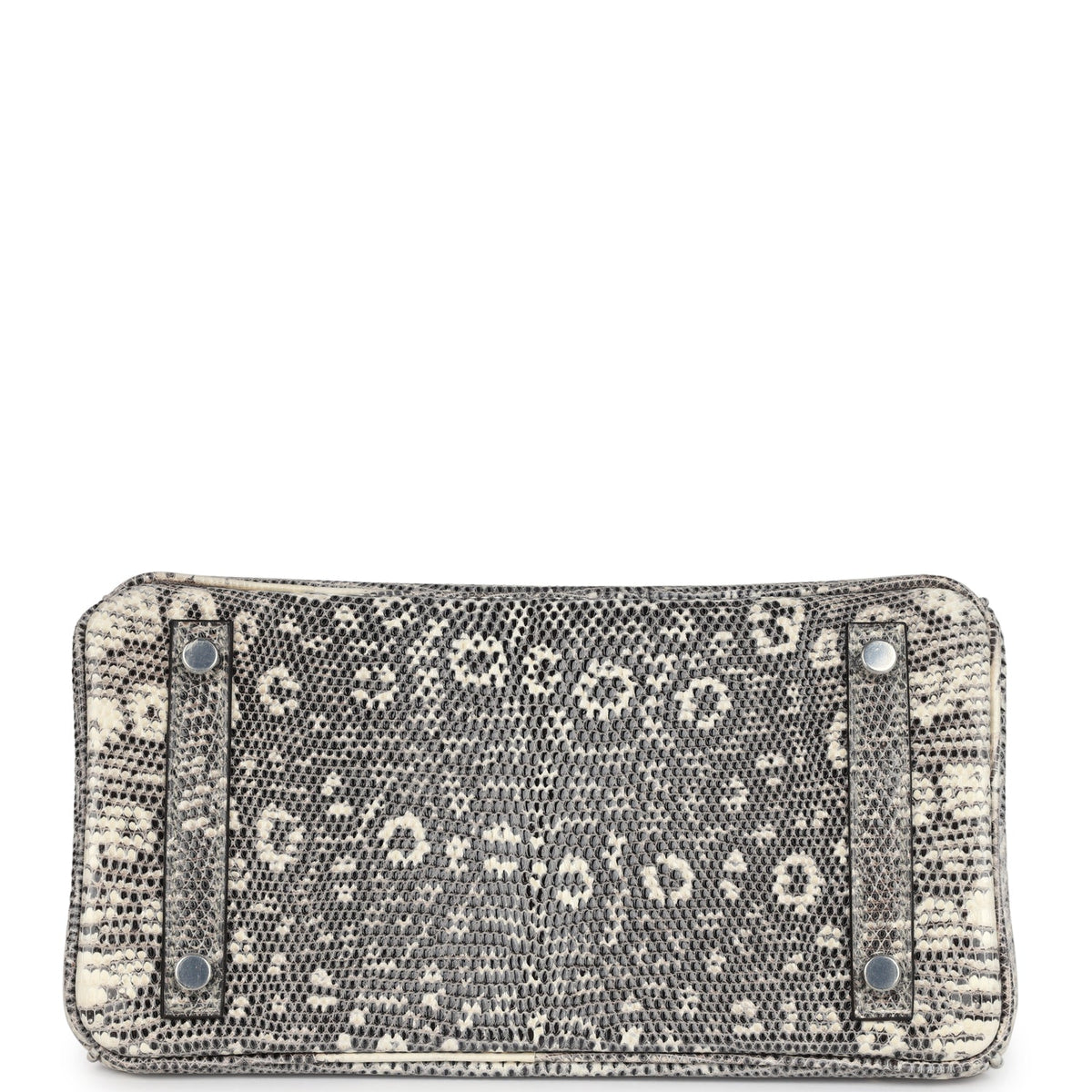 hermes-birkin-25-ombre-varanus-salvator-lizard-palladium-hardware-bag