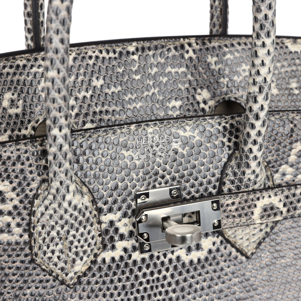 hermes-birkin-25-ombre-varanus-salvator-lizard-palladium-hardware-bag