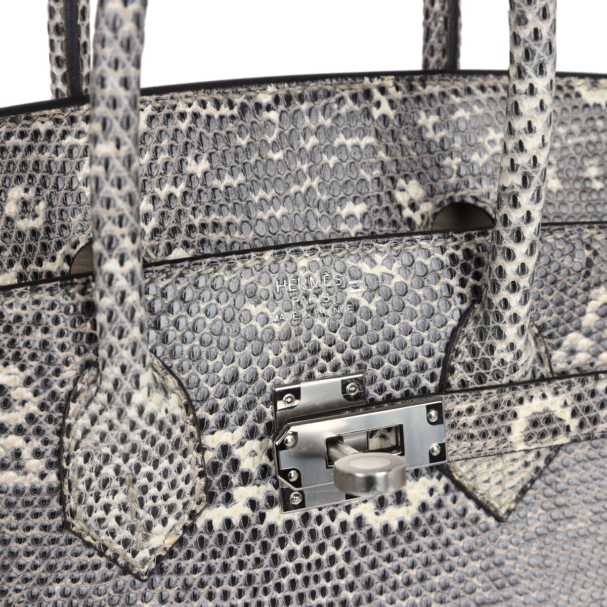 hermes-birkin-25-ombre-varanus-salvator-lizard-palladium-hardware-bag