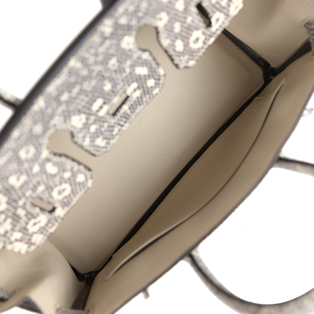 hermes-birkin-25-ombre-varanus-salvator-lizard-palladium-hardware-bag