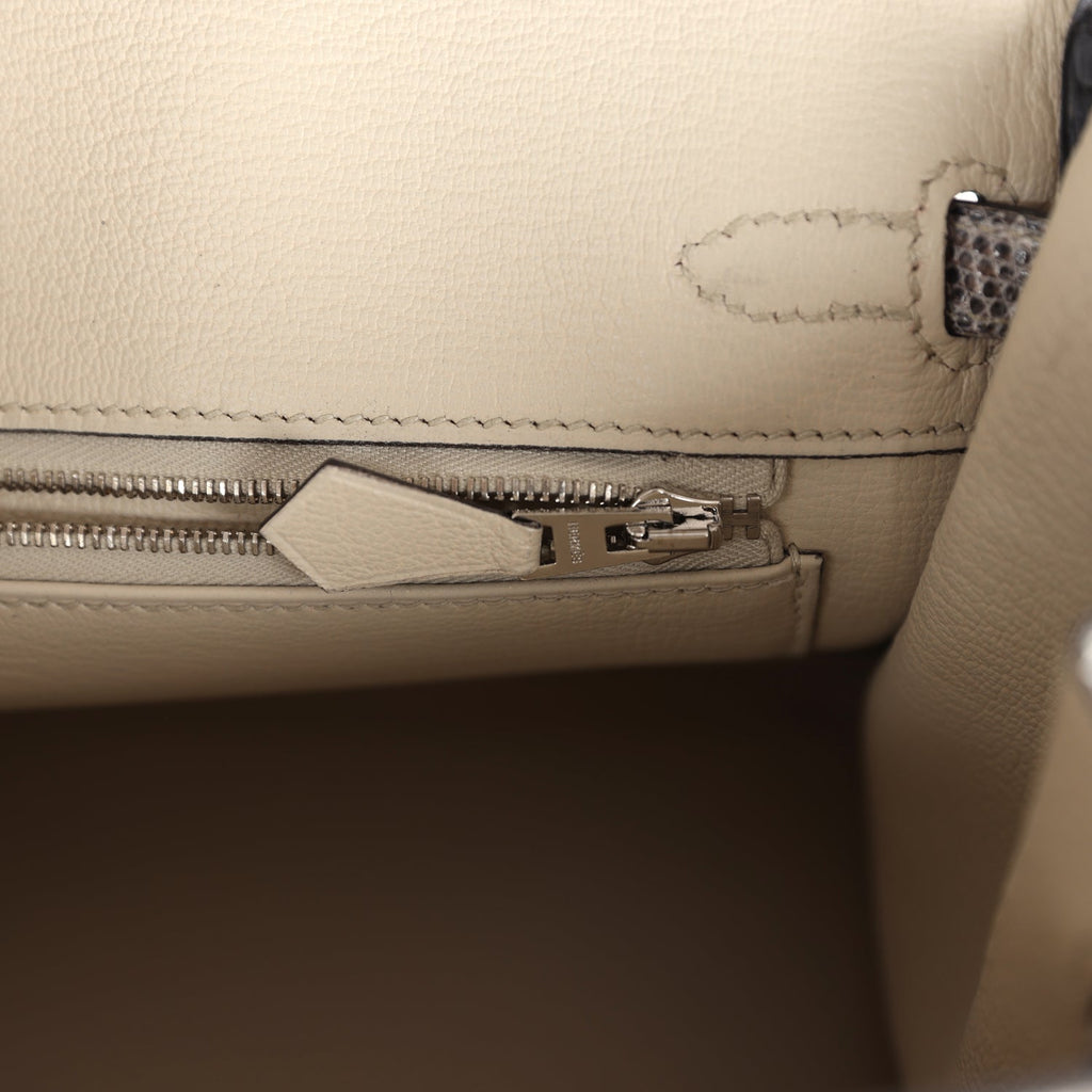 hermes-birkin-25-ombre-varanus-salvator-lizard-palladium-hardware-bag