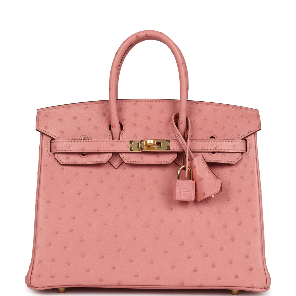hermes-birkin-25-terre-cuite-ostrich-gold-hardware-bag