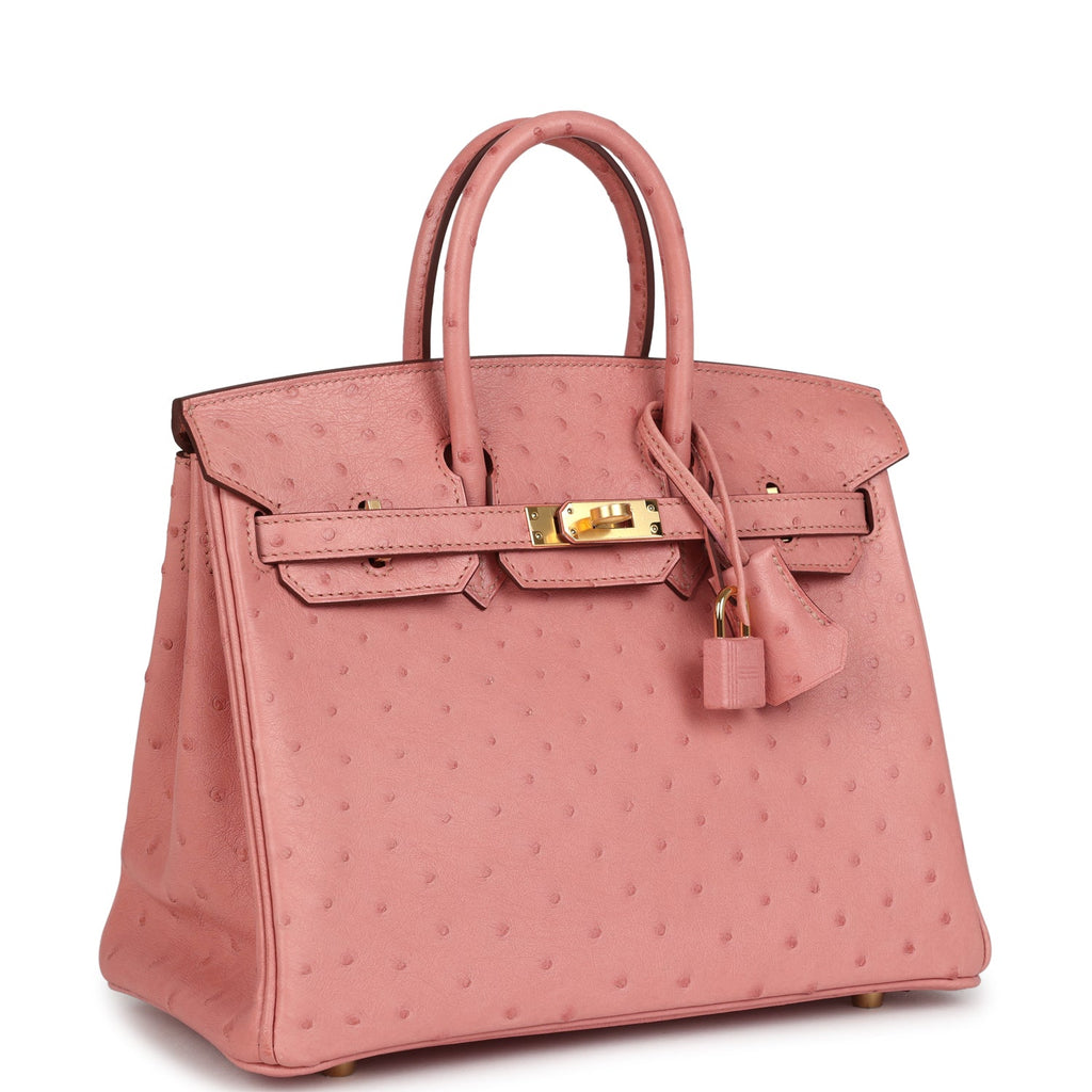 hermes-birkin-25-terre-cuite-ostrich-gold-hardware-bag
