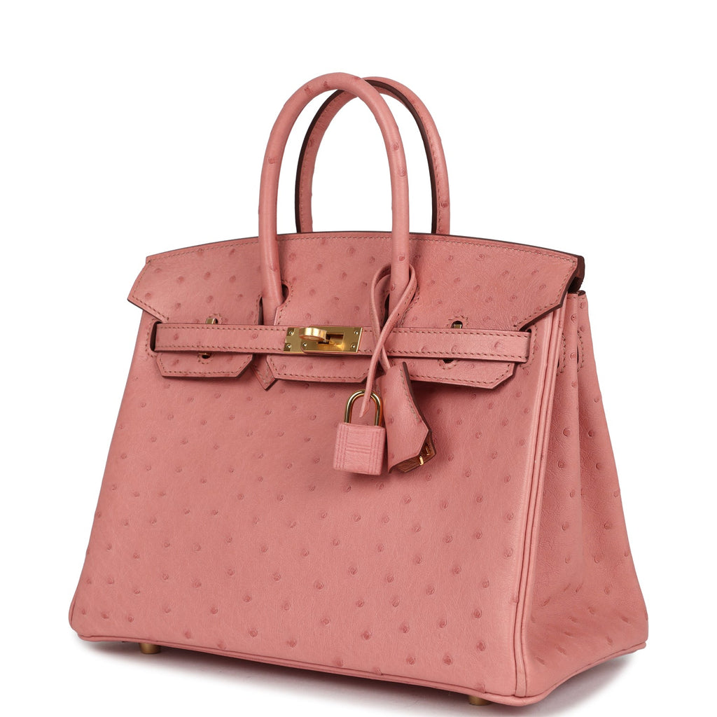 hermes-birkin-25-terre-cuite-ostrich-gold-hardware-bag