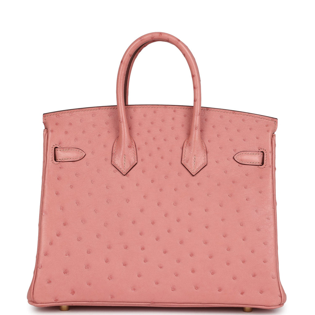 hermes-birkin-25-terre-cuite-ostrich-gold-hardware-bag