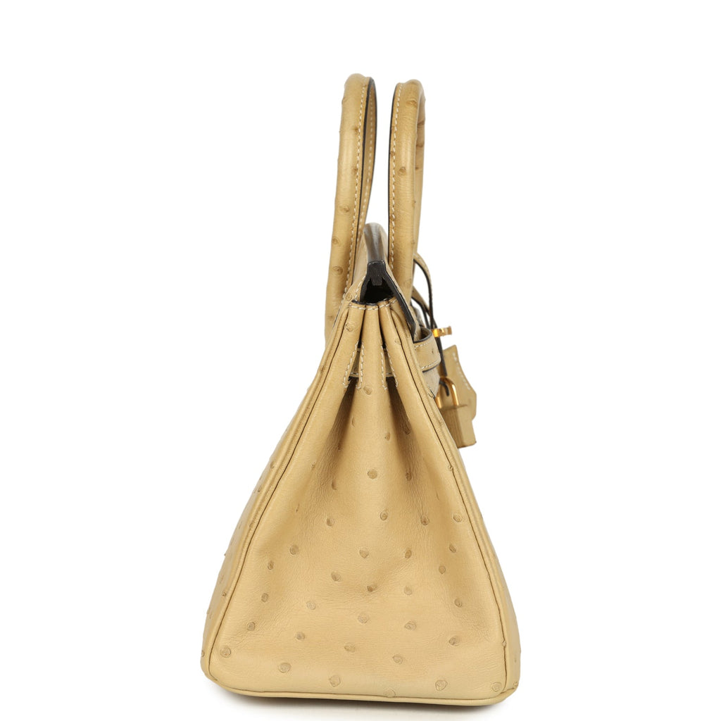 hermes-birkin-25-trench-ostrich-gold-hardware-bag