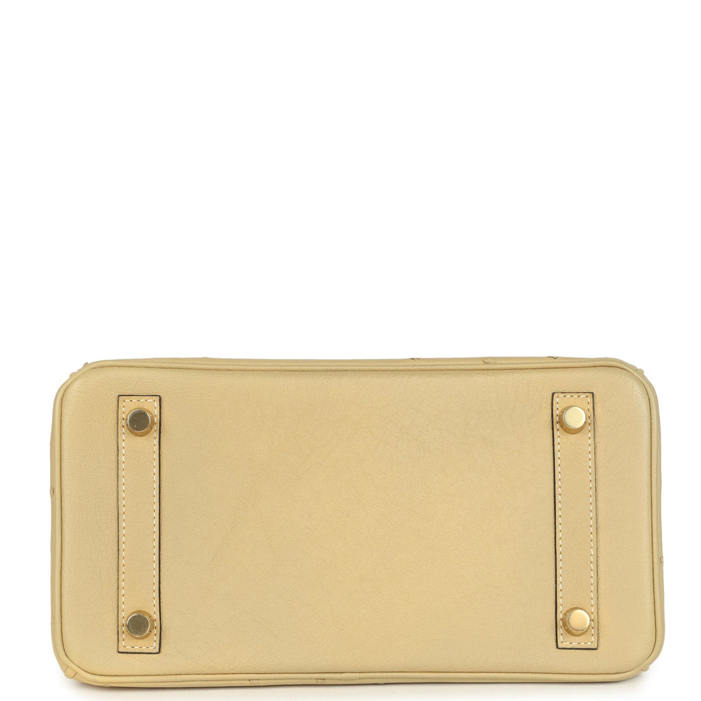 hermes-birkin-25-trench-ostrich-gold-hardware-bag
