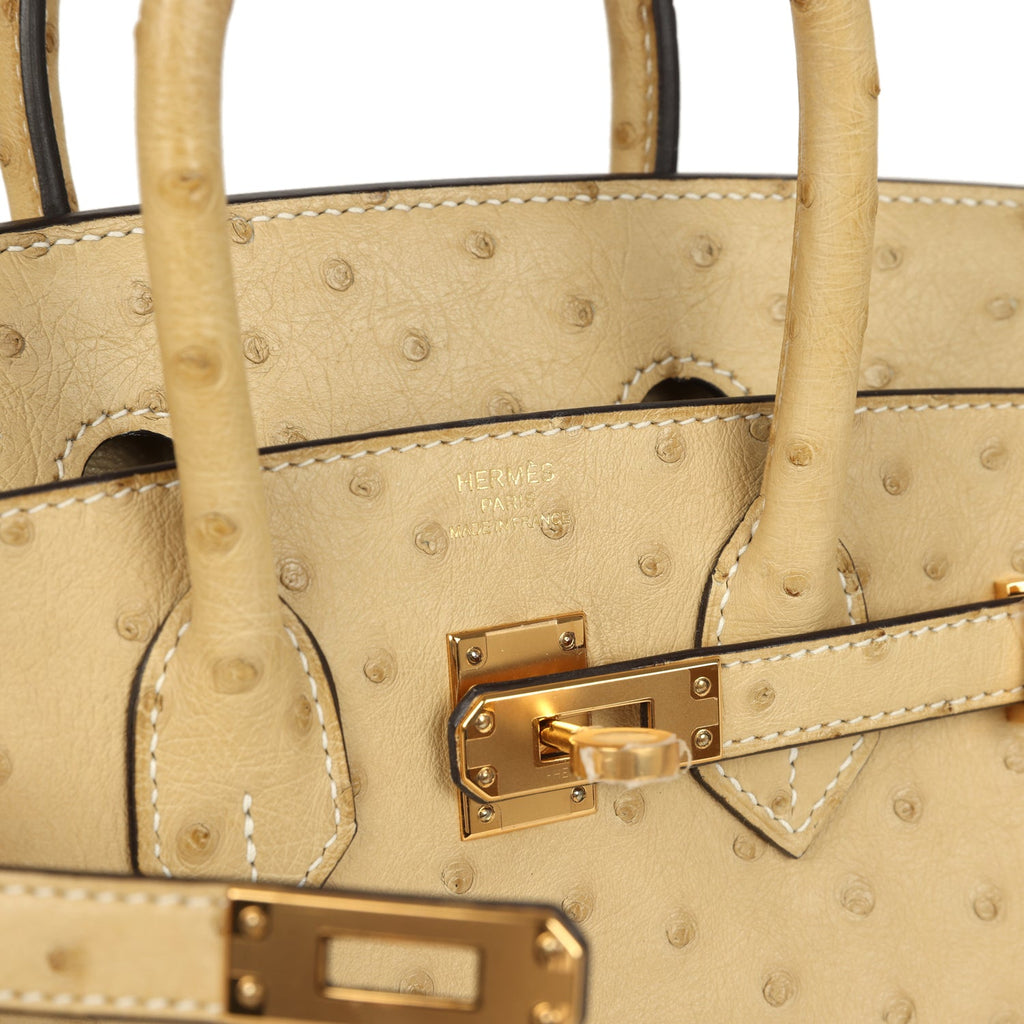 hermes-birkin-25-trench-ostrich-gold-hardware-bag