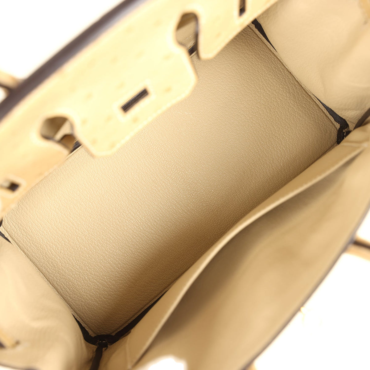 hermes-birkin-25-trench-ostrich-gold-hardware-bag