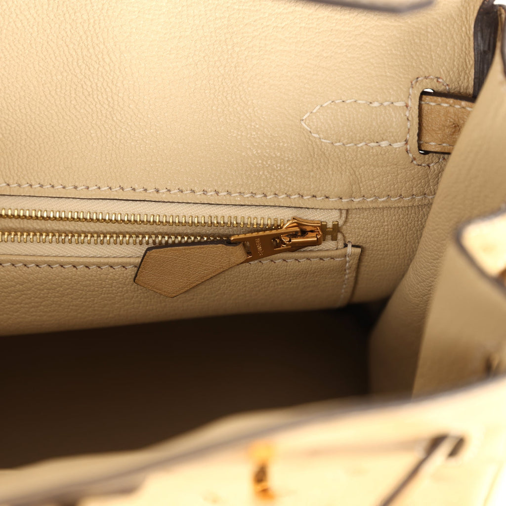 hermes-birkin-25-trench-ostrich-gold-hardware-bag
