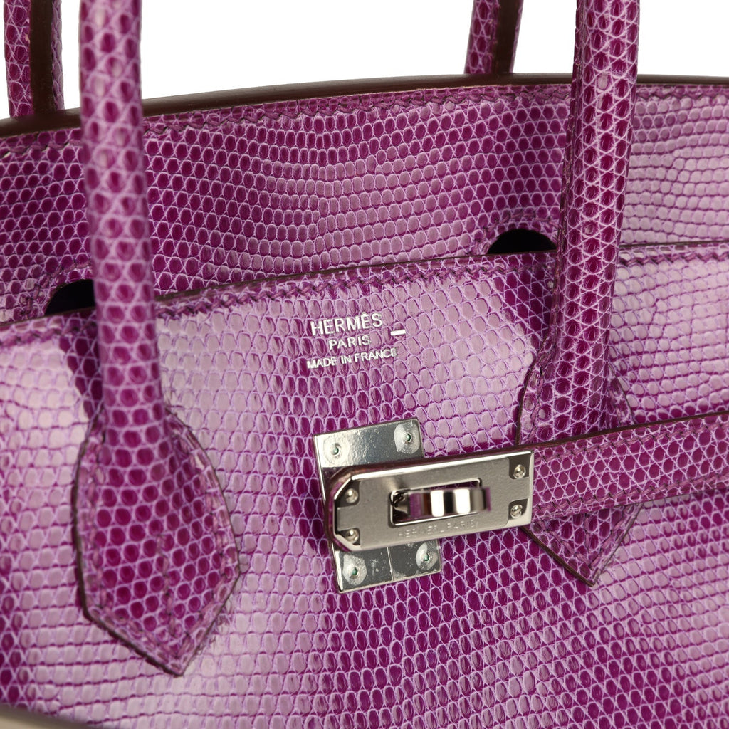 hermes-birkin-25-violet-varanus-niloticus-lizard-palladium-bag