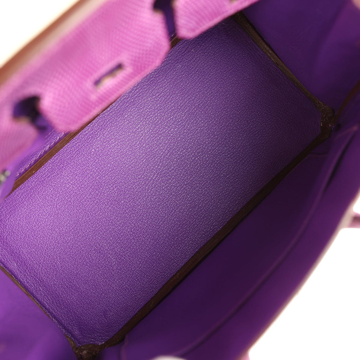 hermes-birkin-25-violet-varanus-niloticus-lizard-palladium-bag