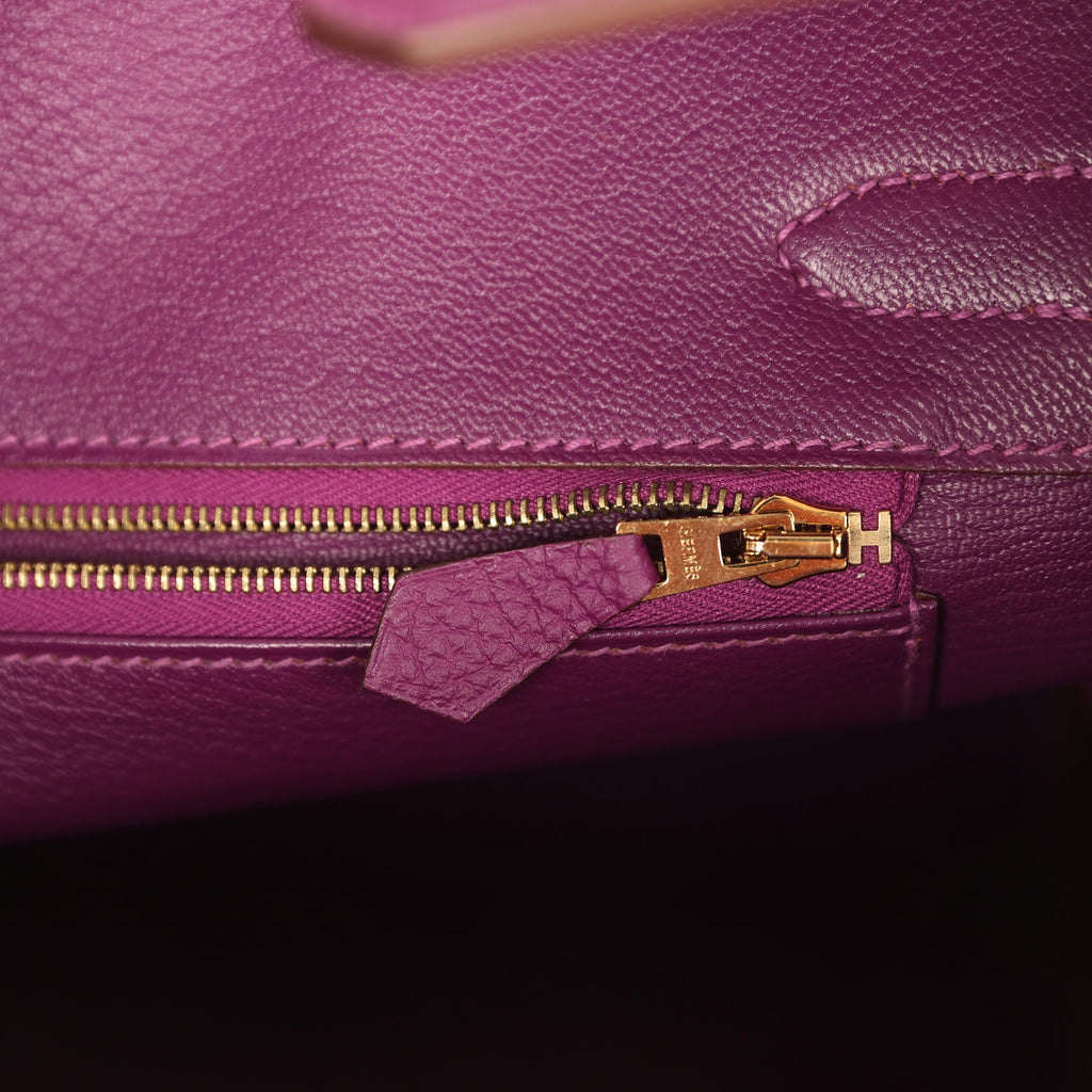 hermes-birkin-30-anemone-togo-gold-hardware-bag