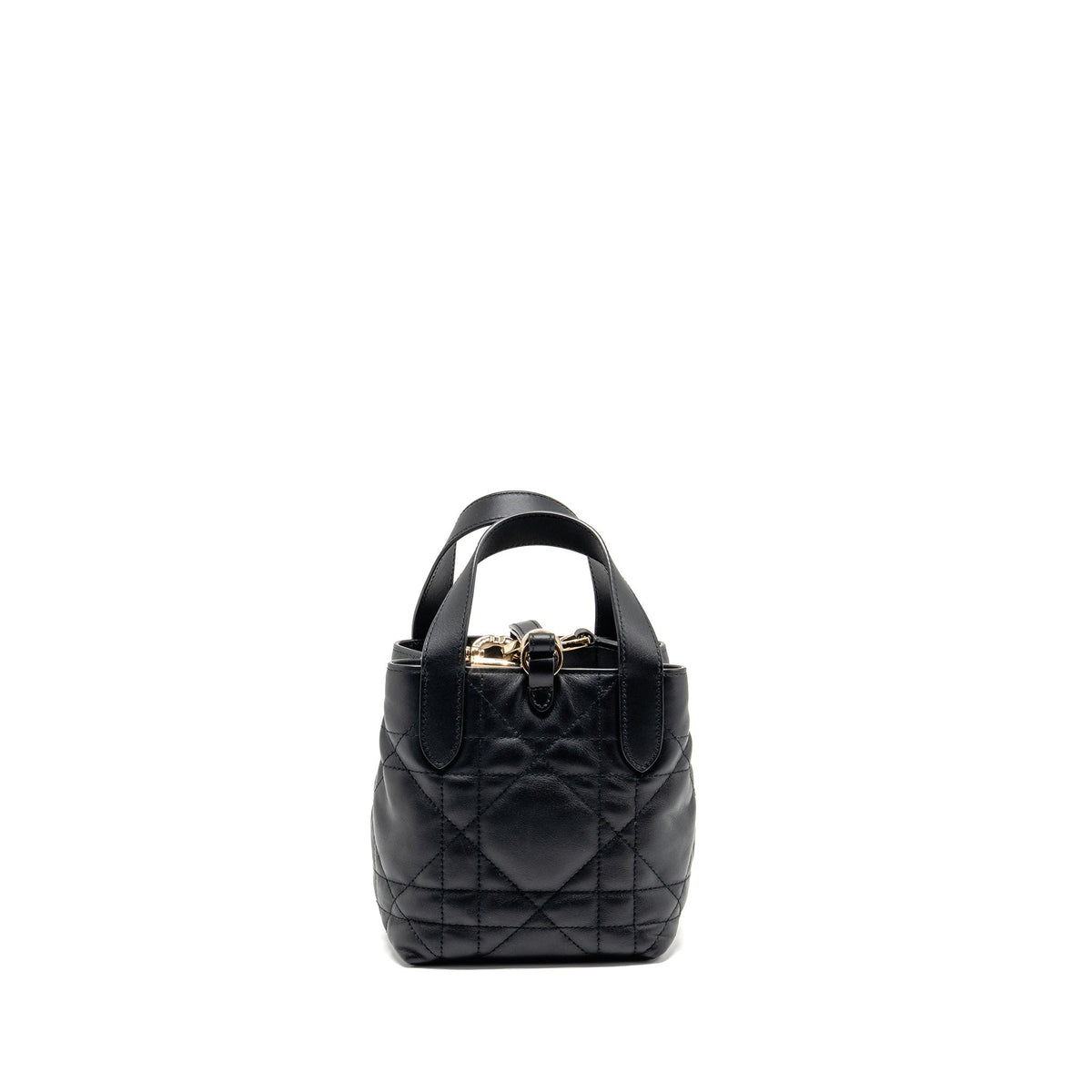 dior-toujours-vertical-nano-tote-bag-calfskin-black-lghw-copy