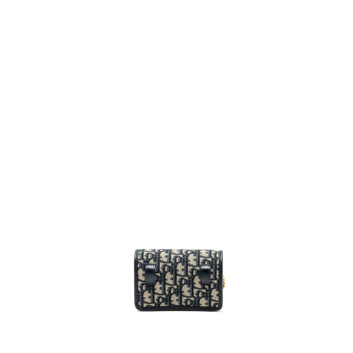dior-30-montaigne-pouch-with-chain-canvas-blue-oblique-ghw