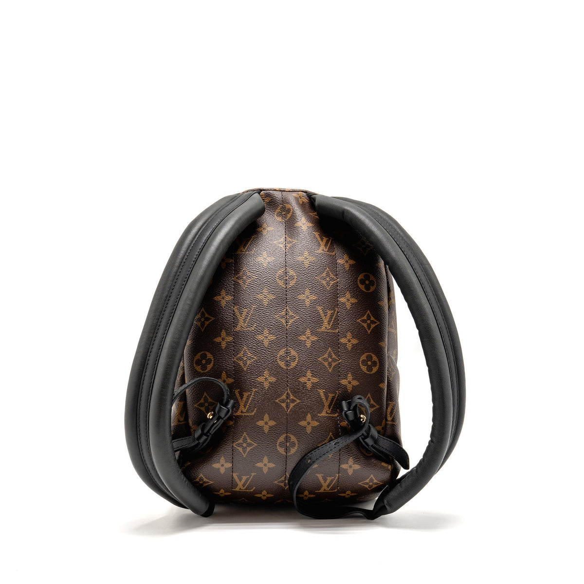 louis-vuitton-palm-spring-pm-backpack-monogram-canvas-ghw-3