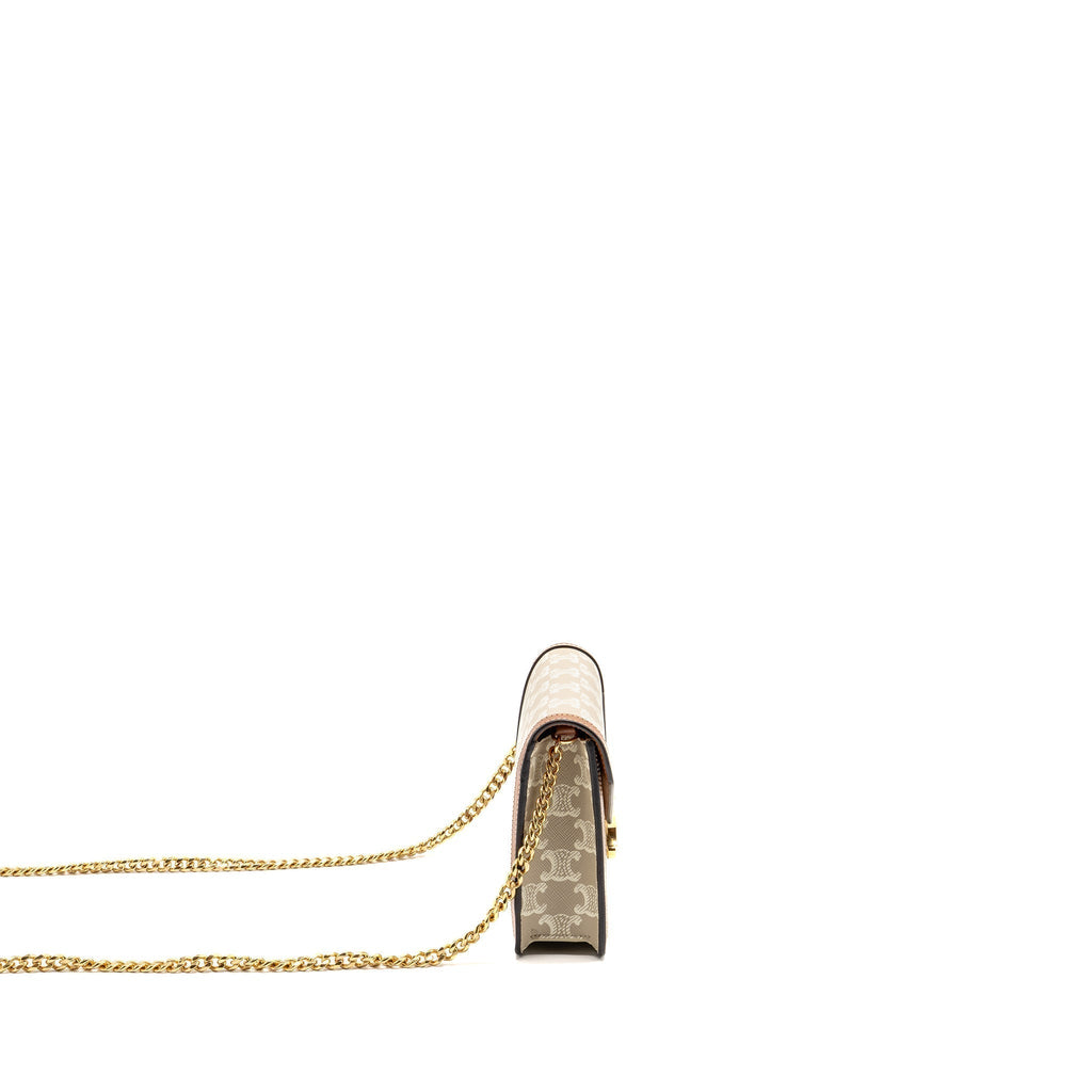 celine-envelope-bag-in-triomphe