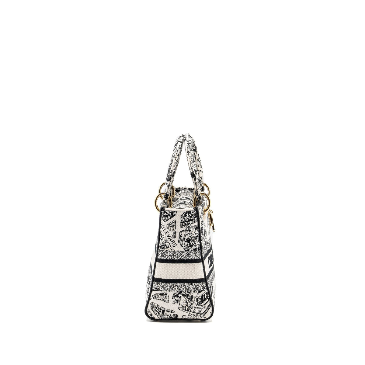 dior-medium-lady-d-lite-bag-plan-de-paris-embroidery-canvas-black-white-lghw-copy