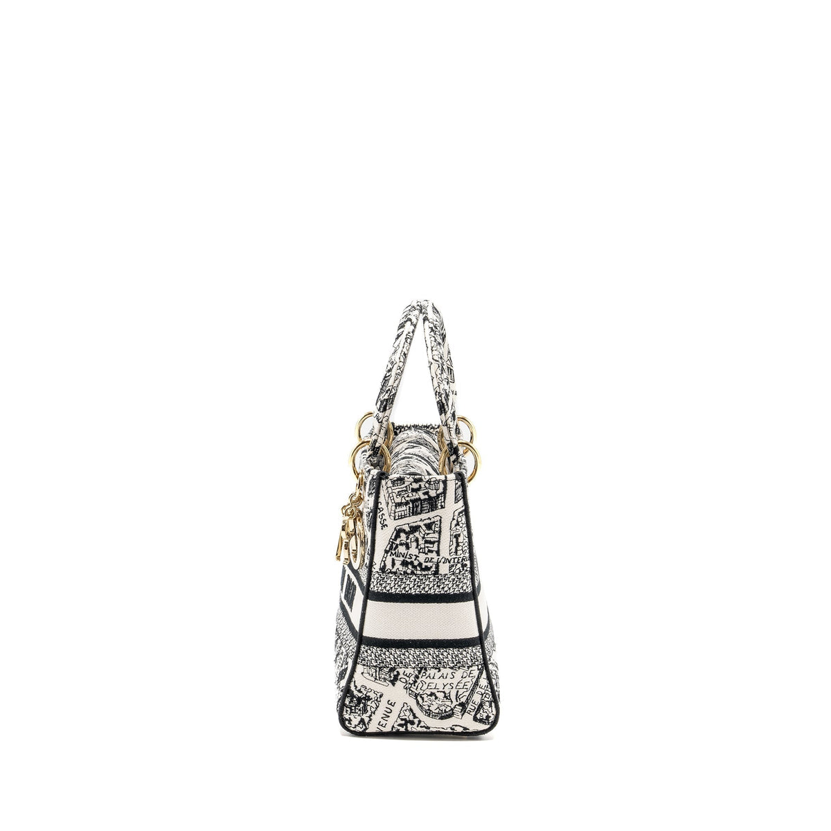 dior-medium-lady-d-lite-bag-plan-de-paris-embroidery-canvas-black-white-lghw-copy