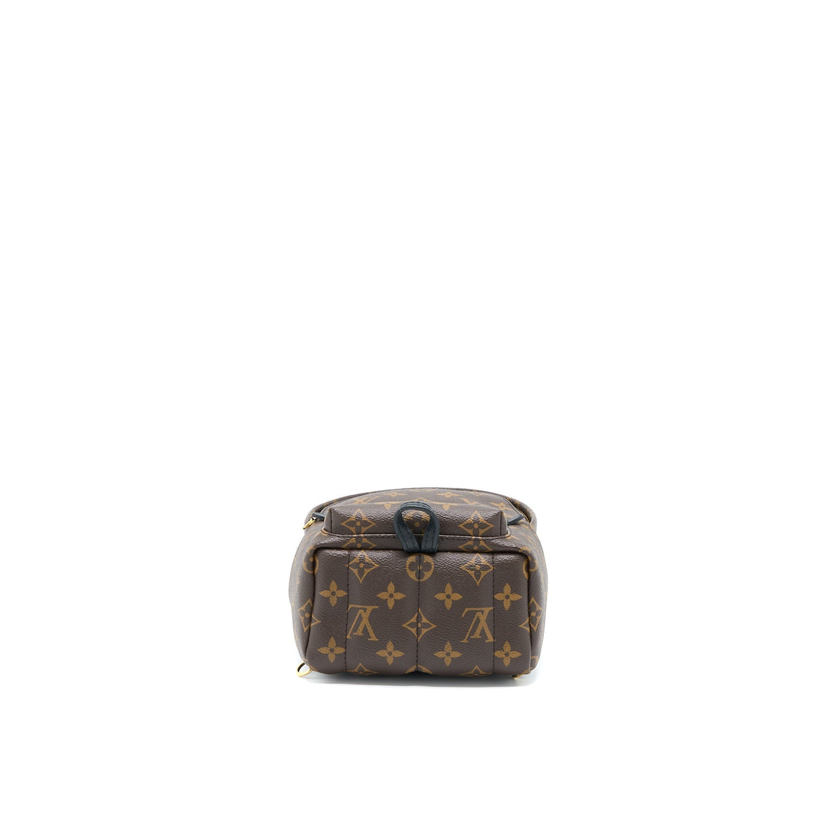 louis-vuitton-palm-spring-mini-backpack-monogram-canvas-ghw-5