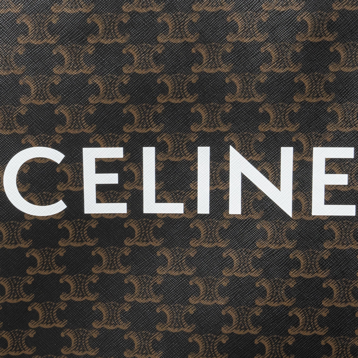 celine-small-cabas-vertical-in-triomphe-canvas-calfskin-tan-ghw
