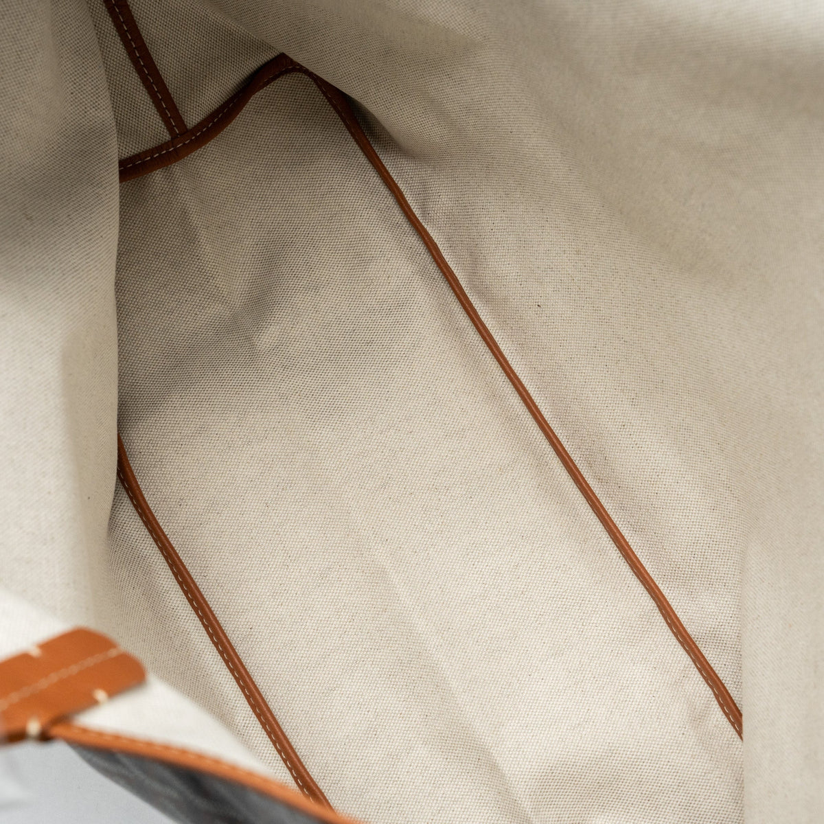 goyard-saint-louis-pm-tote-bag-goyardline-canvas-calfskin-brown