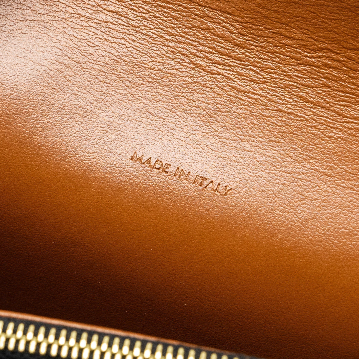 celine-wallet-on-strap-triomphe-canvas-smooth-lambskin-tan-ghw-3