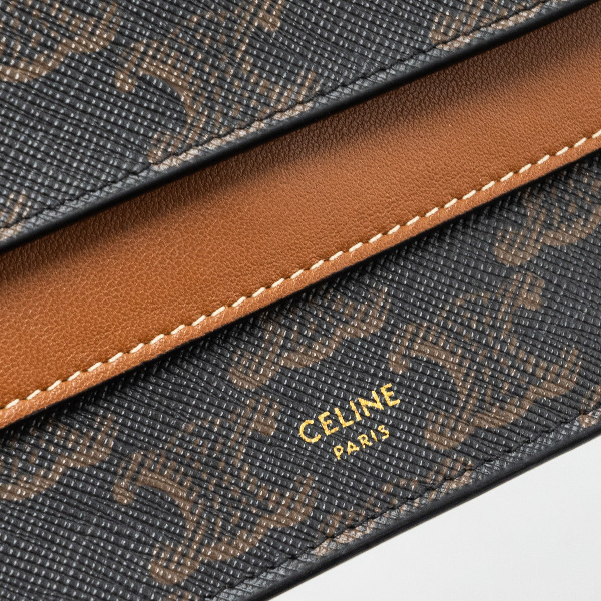 celine-wallet-on-strap-triomphe-canvas-lambskin-tan-ghw-1