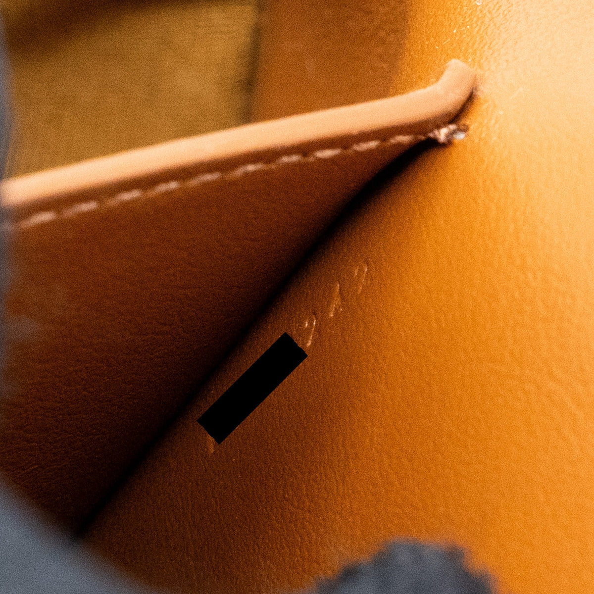 celine-clutch-on-strap-tabou-triomphe-canvas-calfskin-ghw-tan